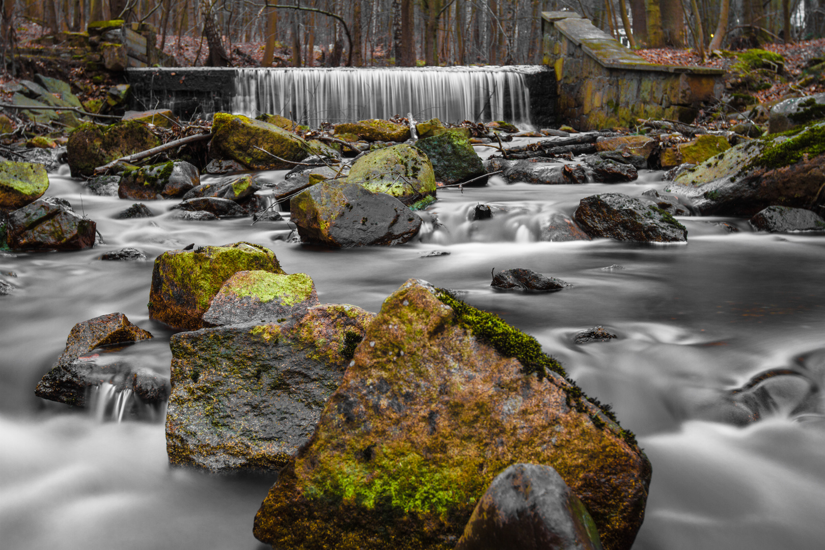 ~ Sonntag im Harz ~