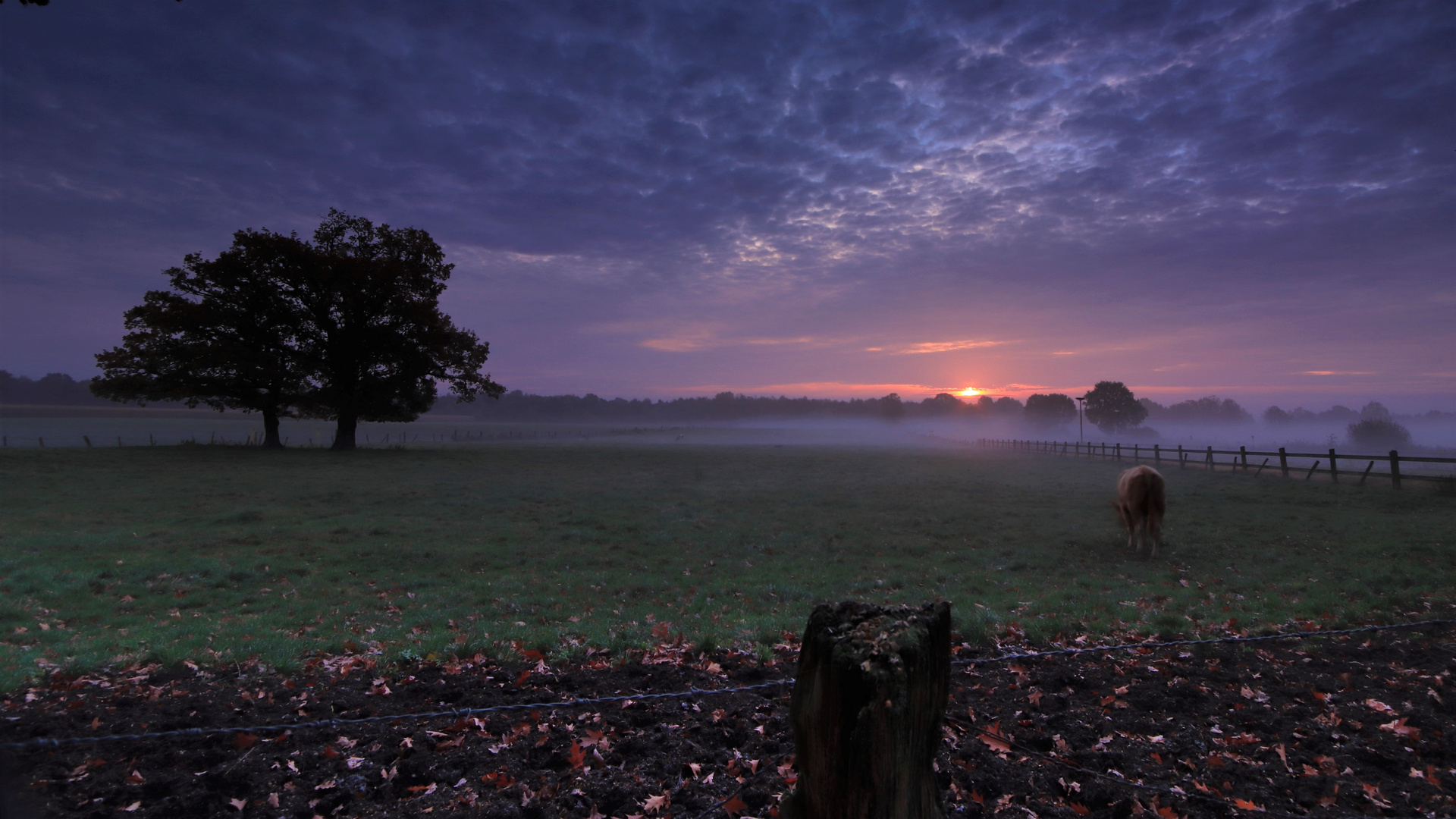 Sonntag im Herbst