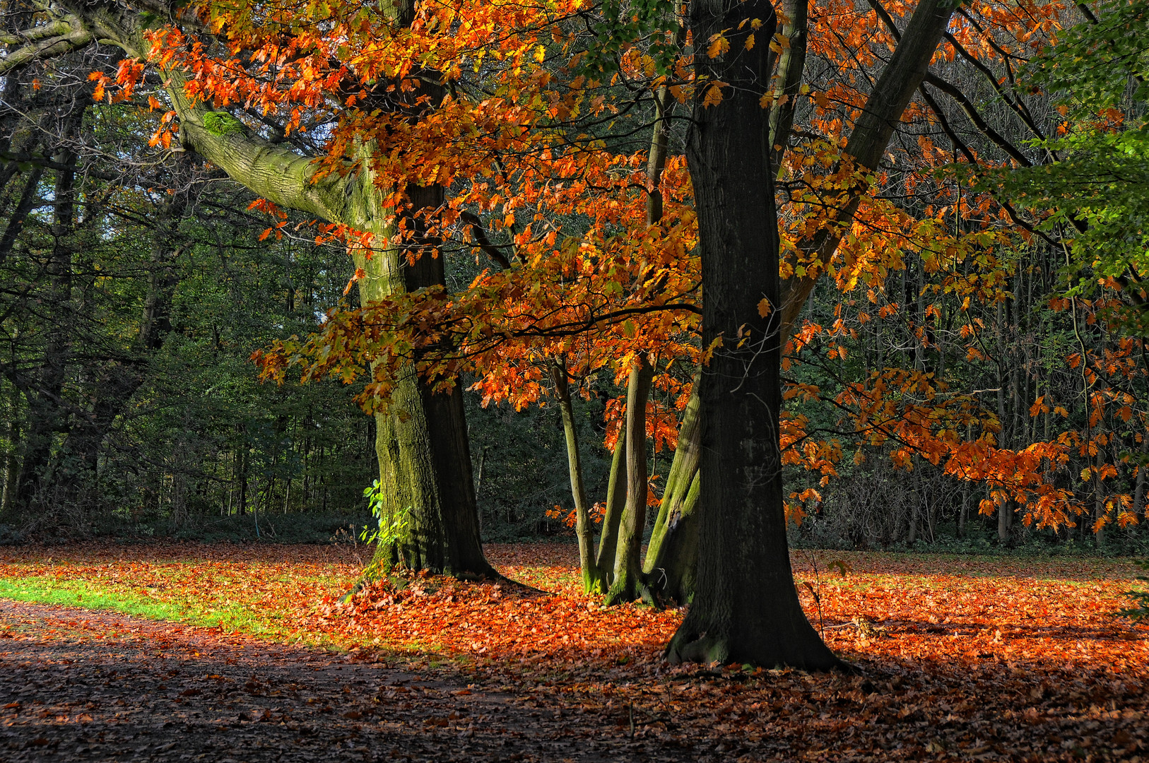 Sonntag im November