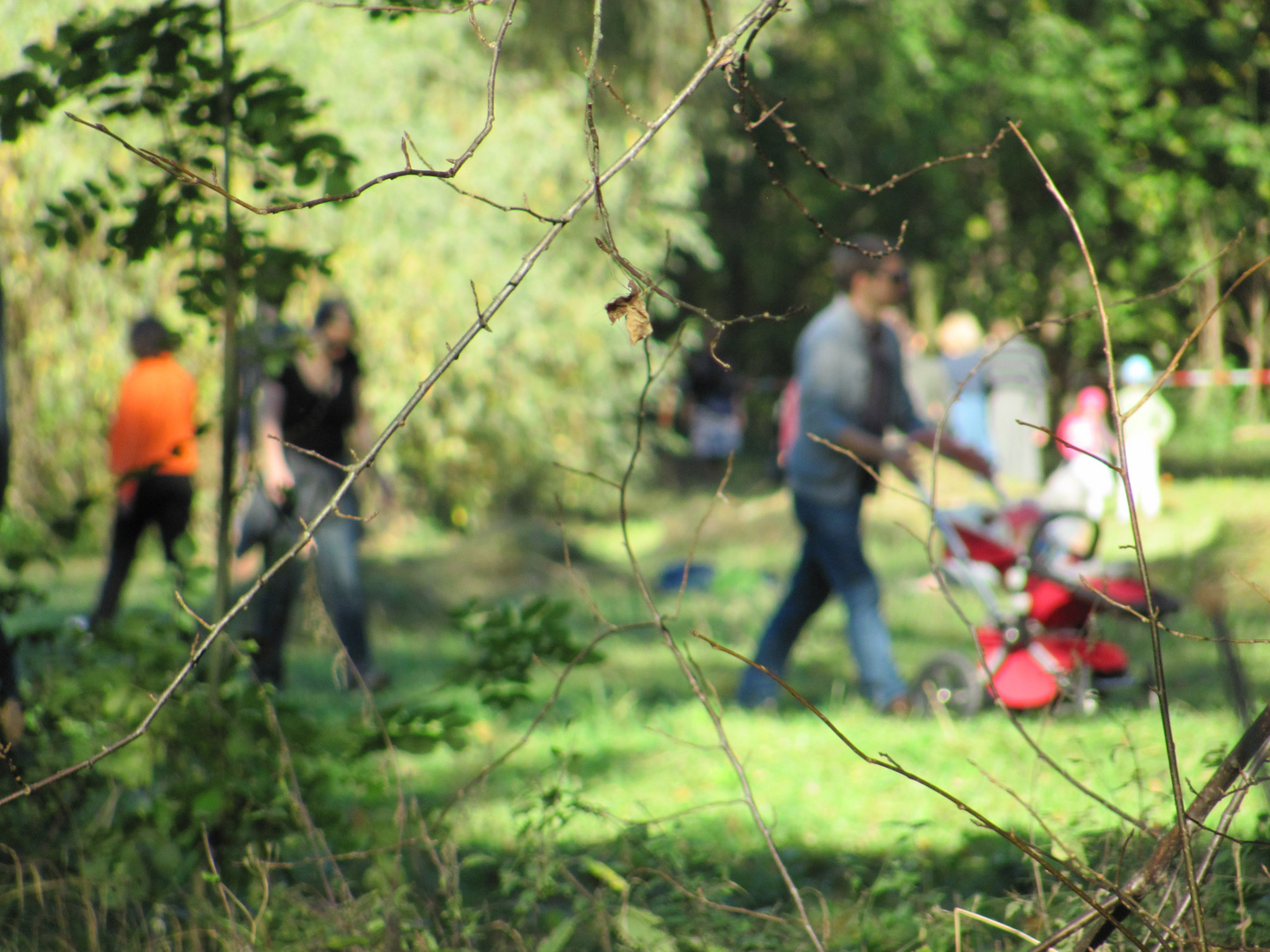 Sonntag im Park