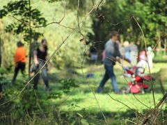 Sonntag im Park