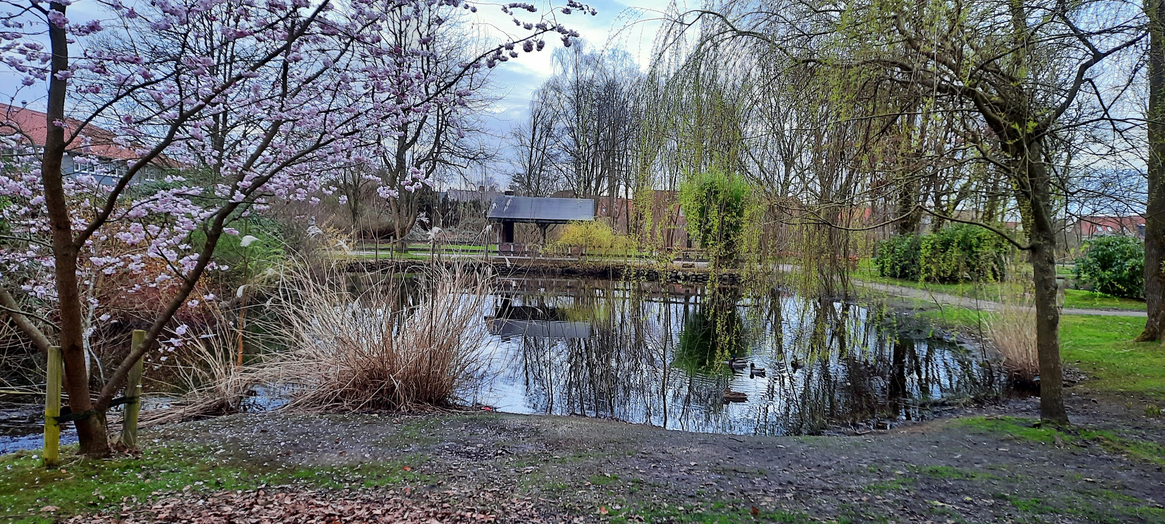 Sonntag im Park 