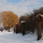 Sonntag im Schnee