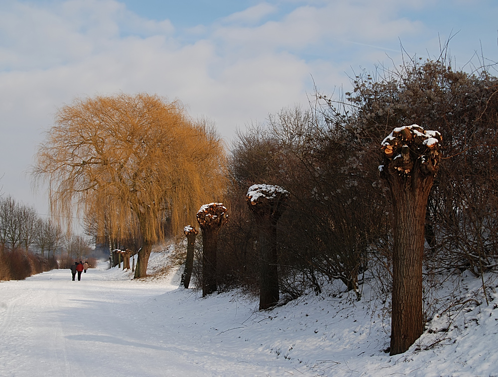 Sonntag im Schnee