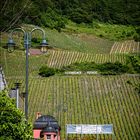 Sonntag im Tal der Ahnungslosen