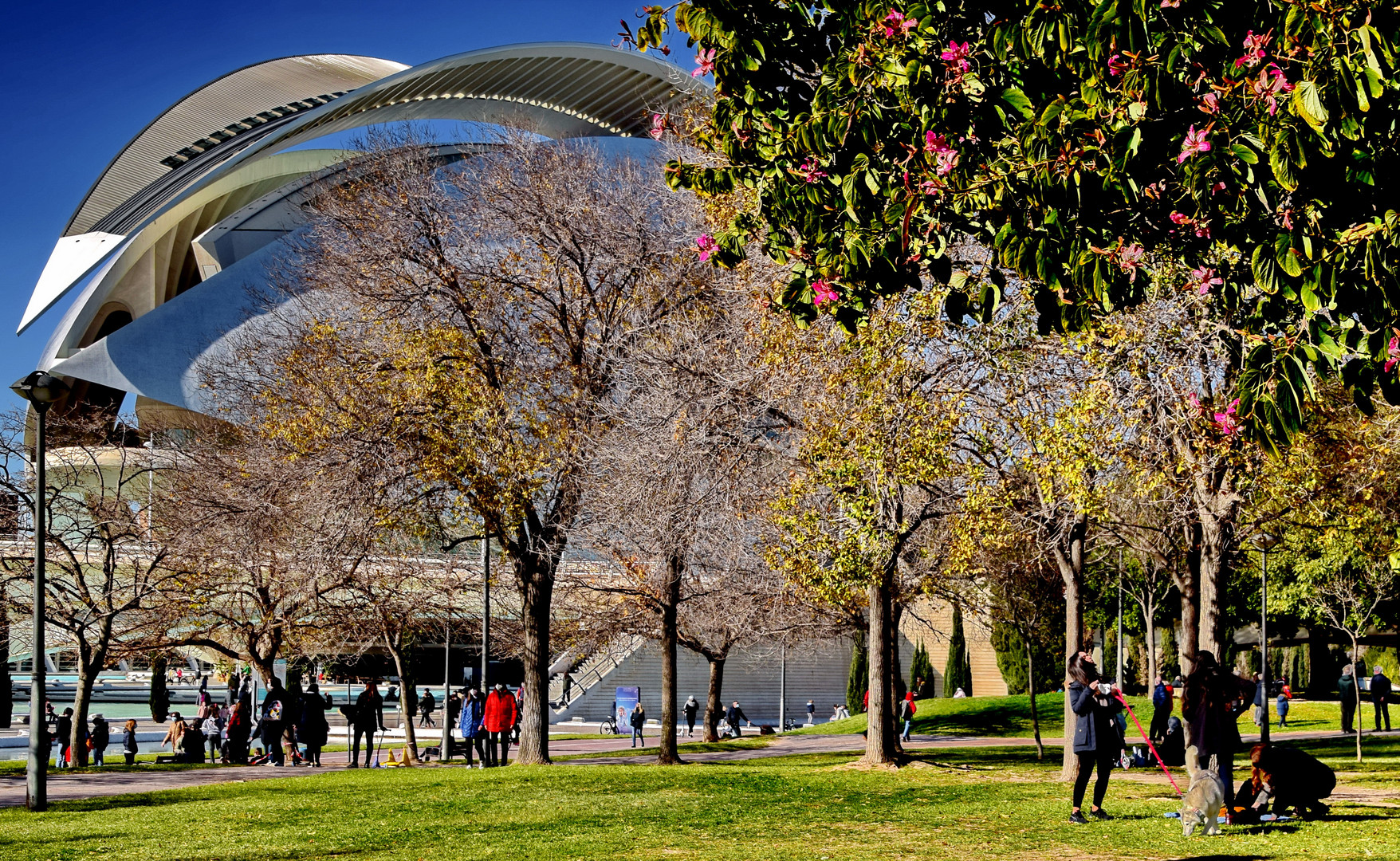 Sonntag im Turia Park