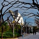 Sonntag im Turia Park, Valencia