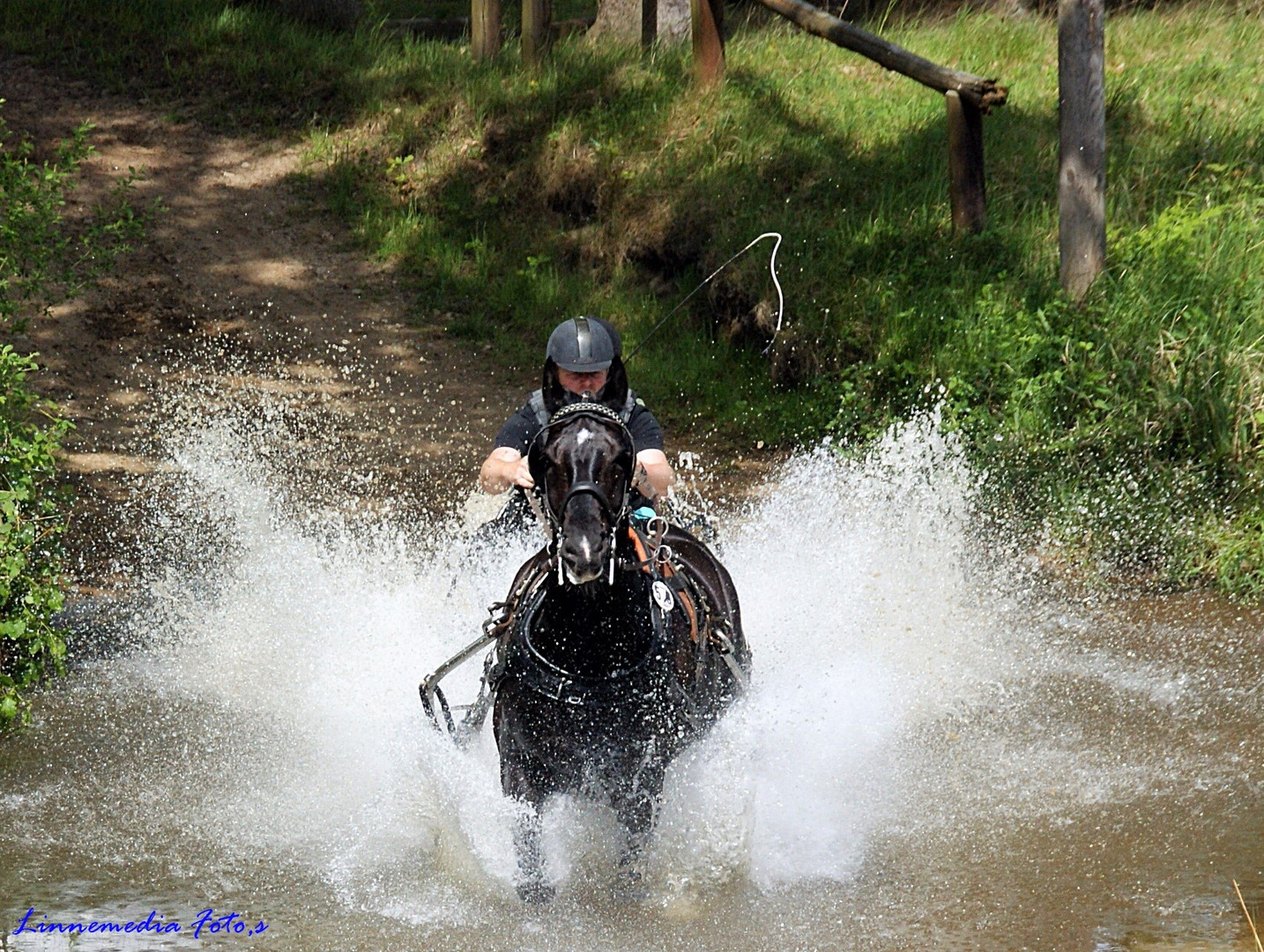 Sonntag im Wasser    !