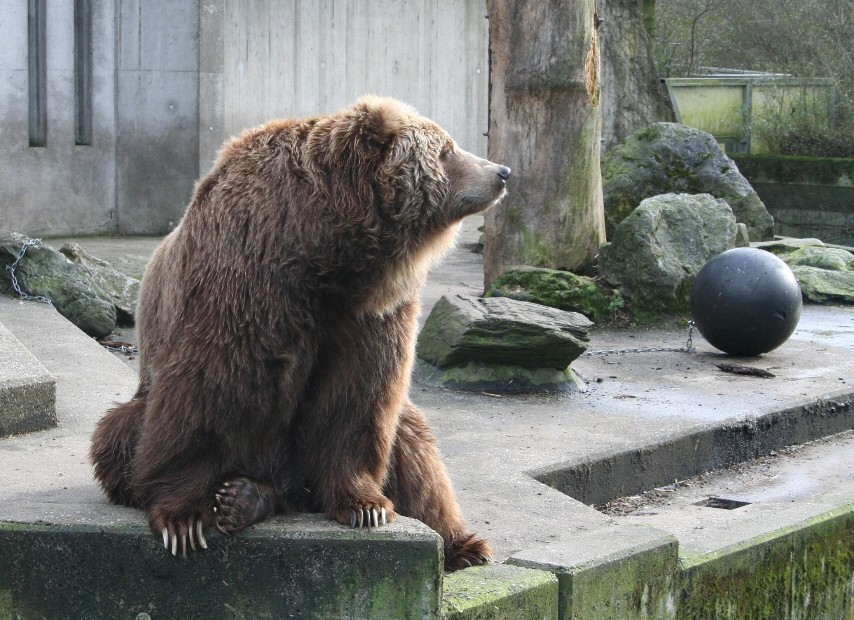 Sonntag im Zoo