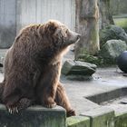 Sonntag im Zoo