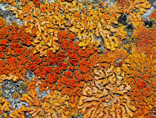 SONNtag in der Adventszeit