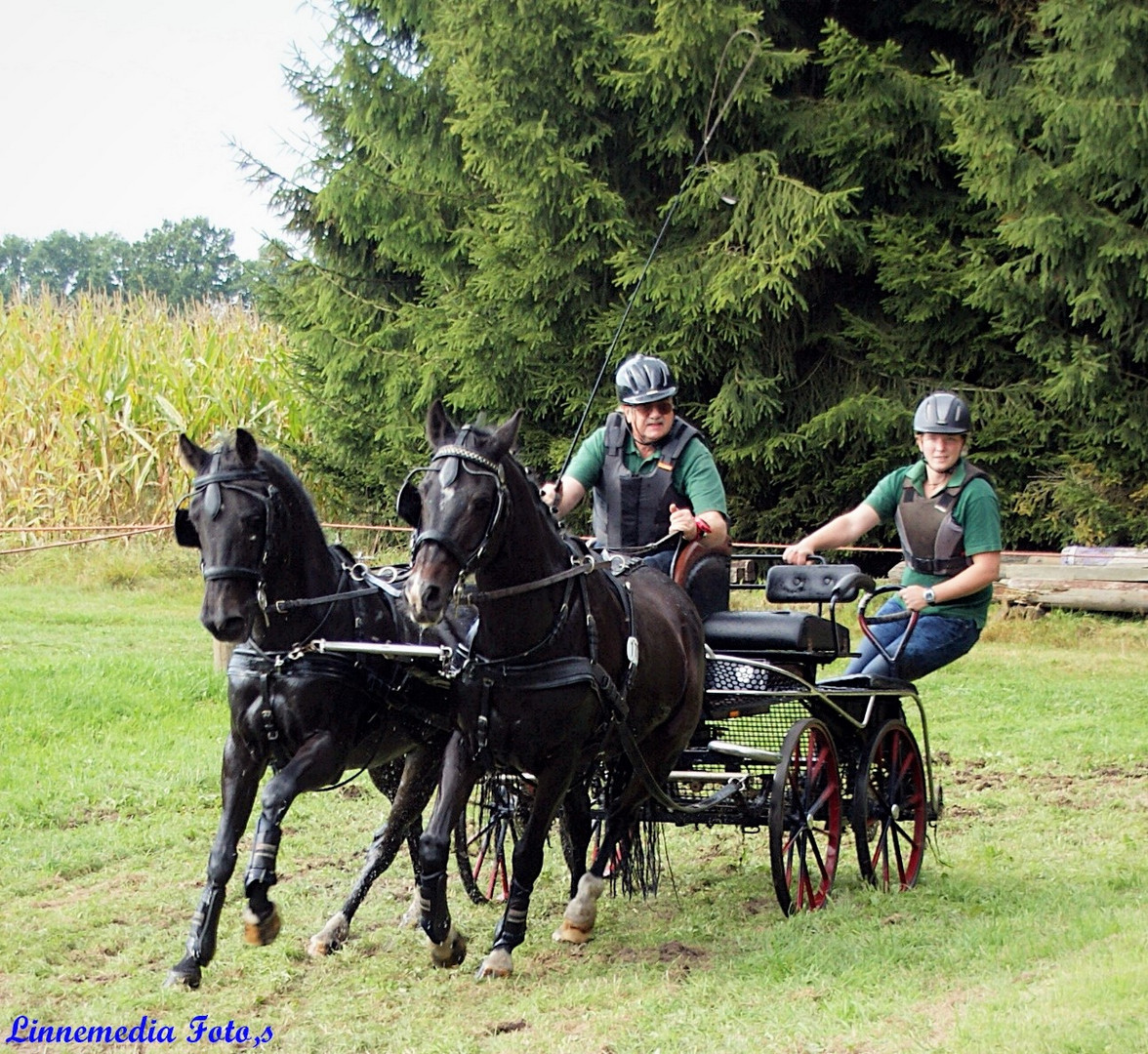 Sonntag  in Greffen 