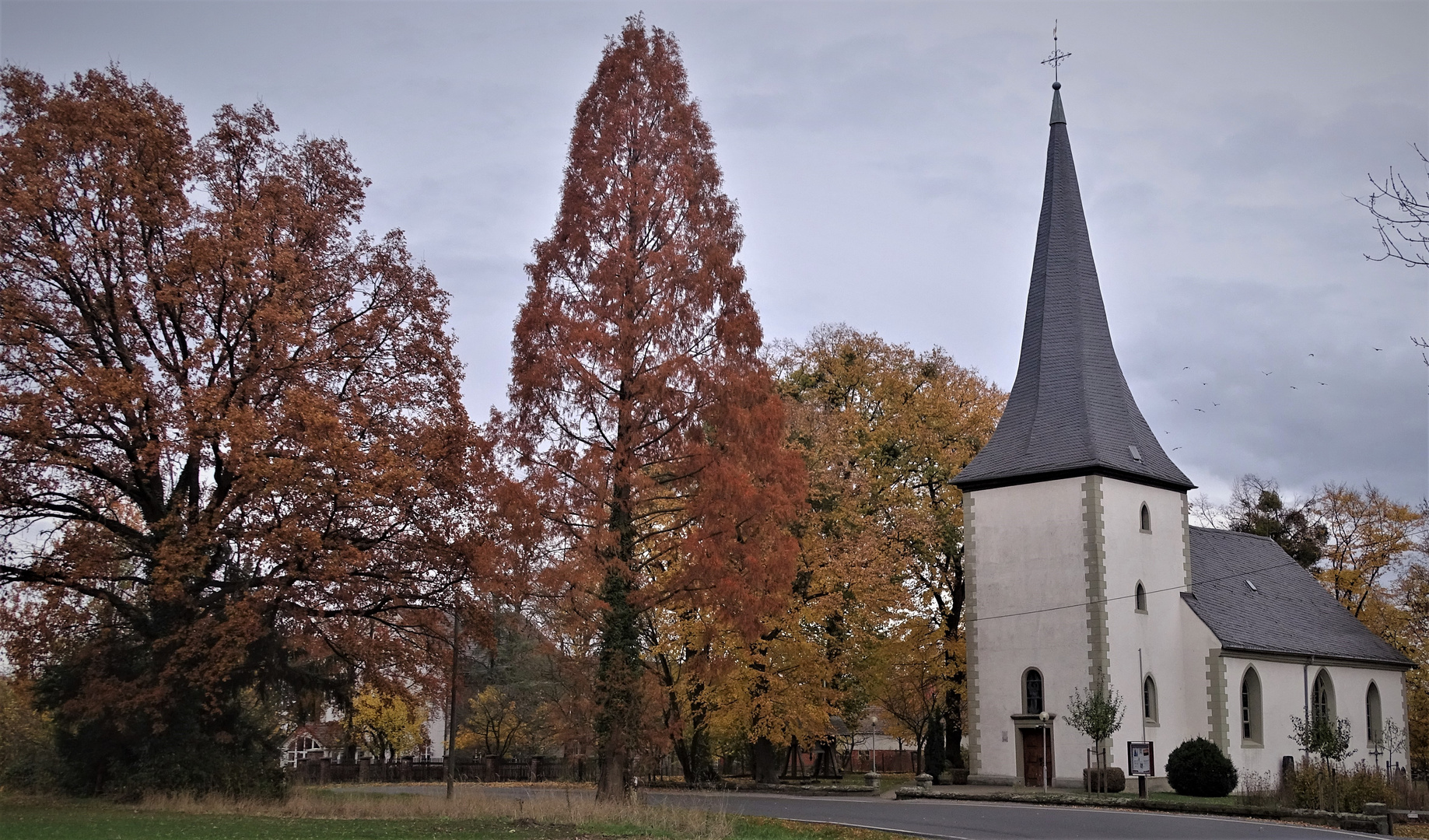 Sonntag in Hamm Berge...