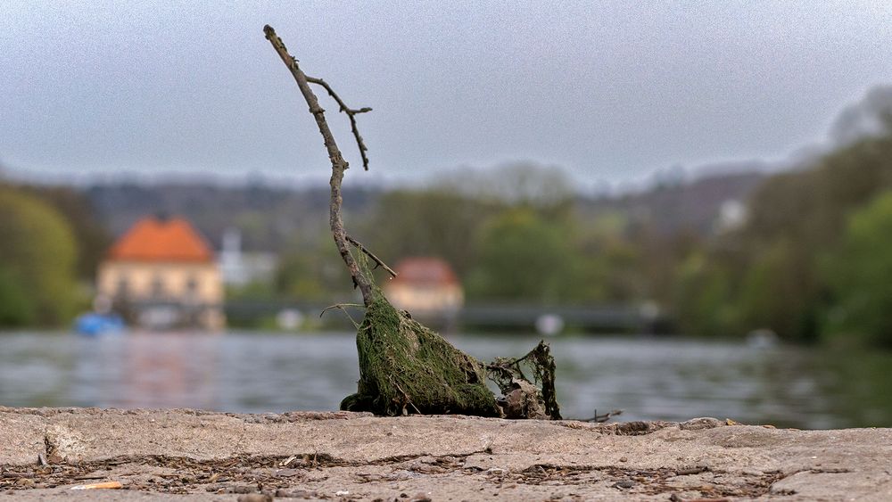 Sonntag in Tübingen 