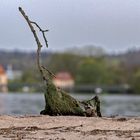 Sonntag in Tübingen 