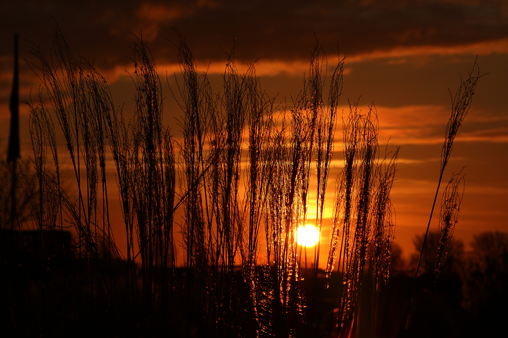 Sonntag mit Abendsonne