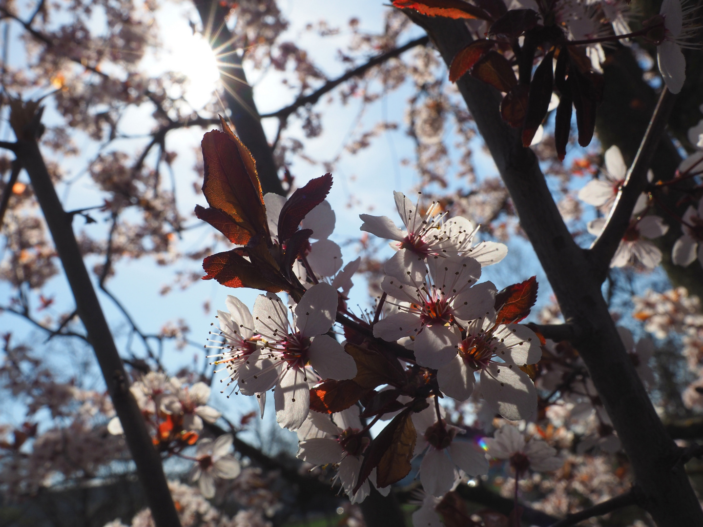 Sonntag mit Sonne