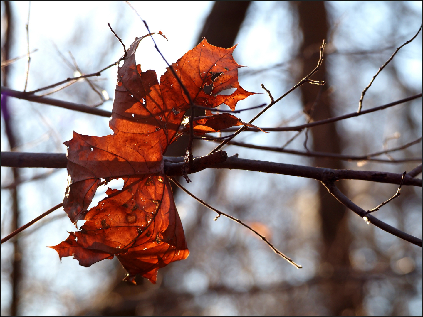 Sonntag mit Sonne