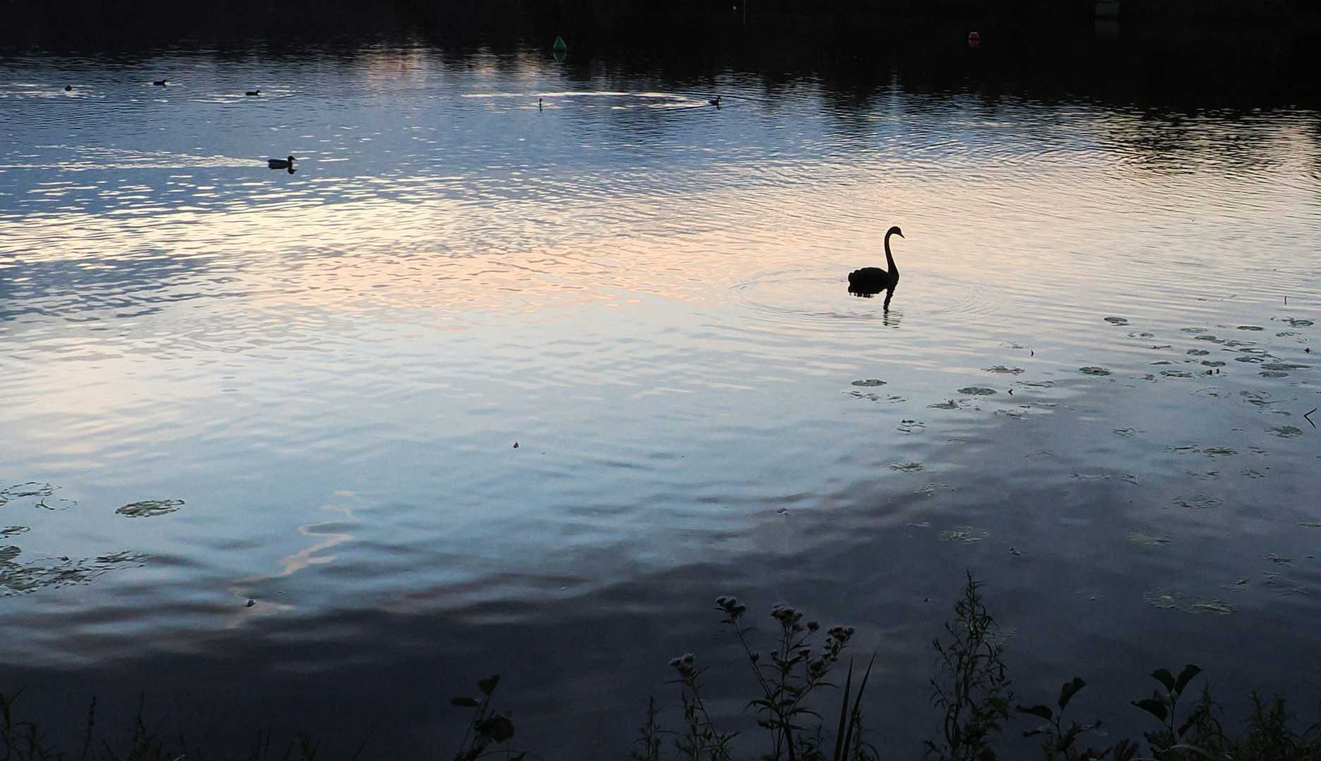 Sonntag mit Sonne…