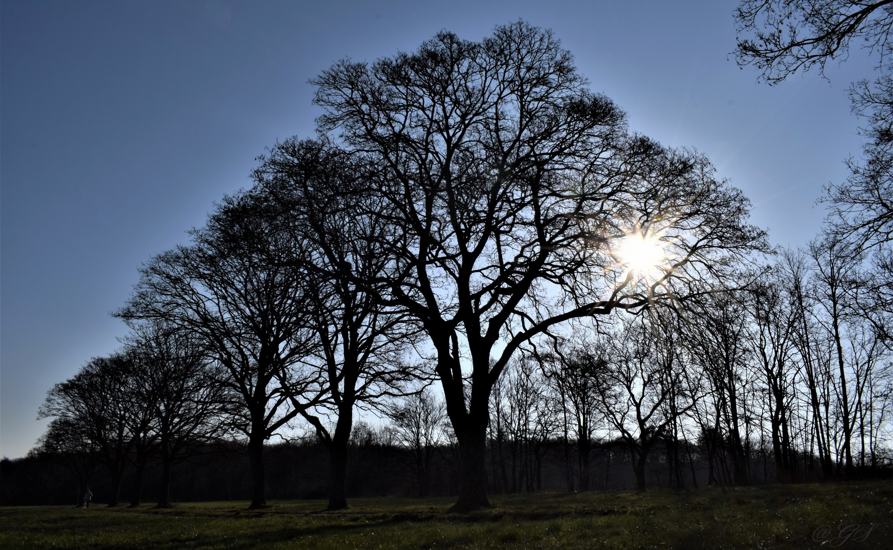 Sonntag mit Sonne