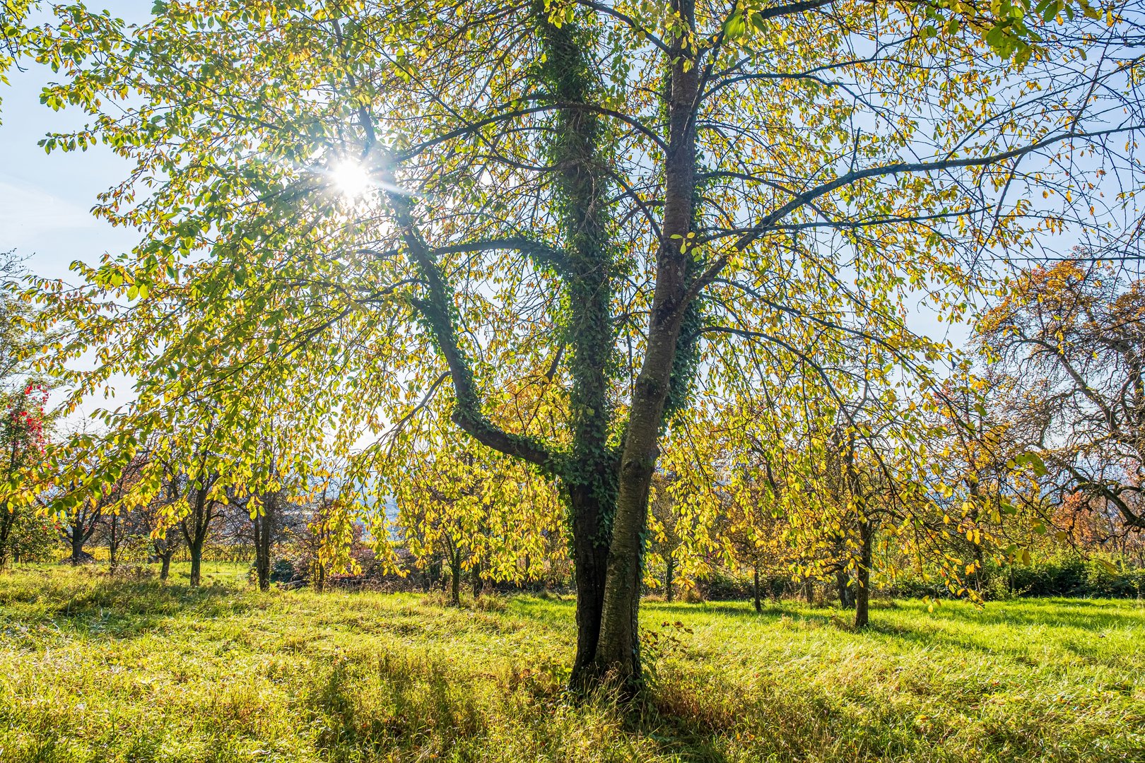 Sonntag mit Sonne