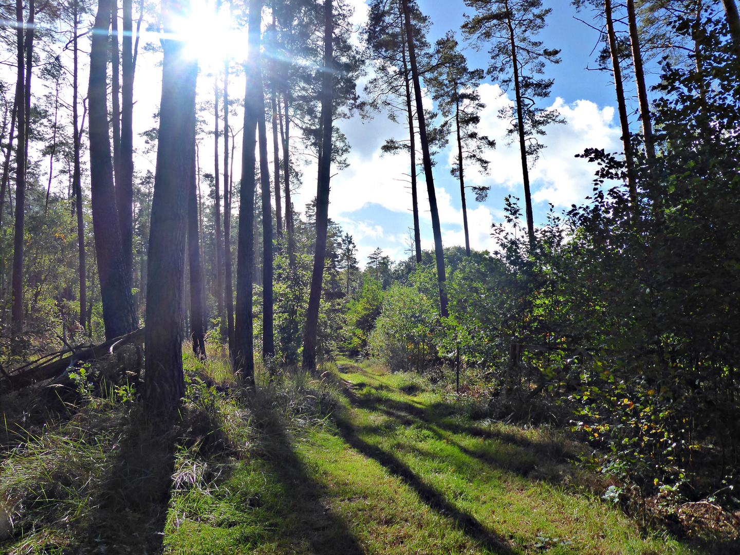 Sonntag mit Sonne