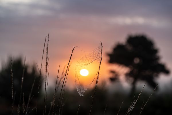 Sonntag mit Sonne ...