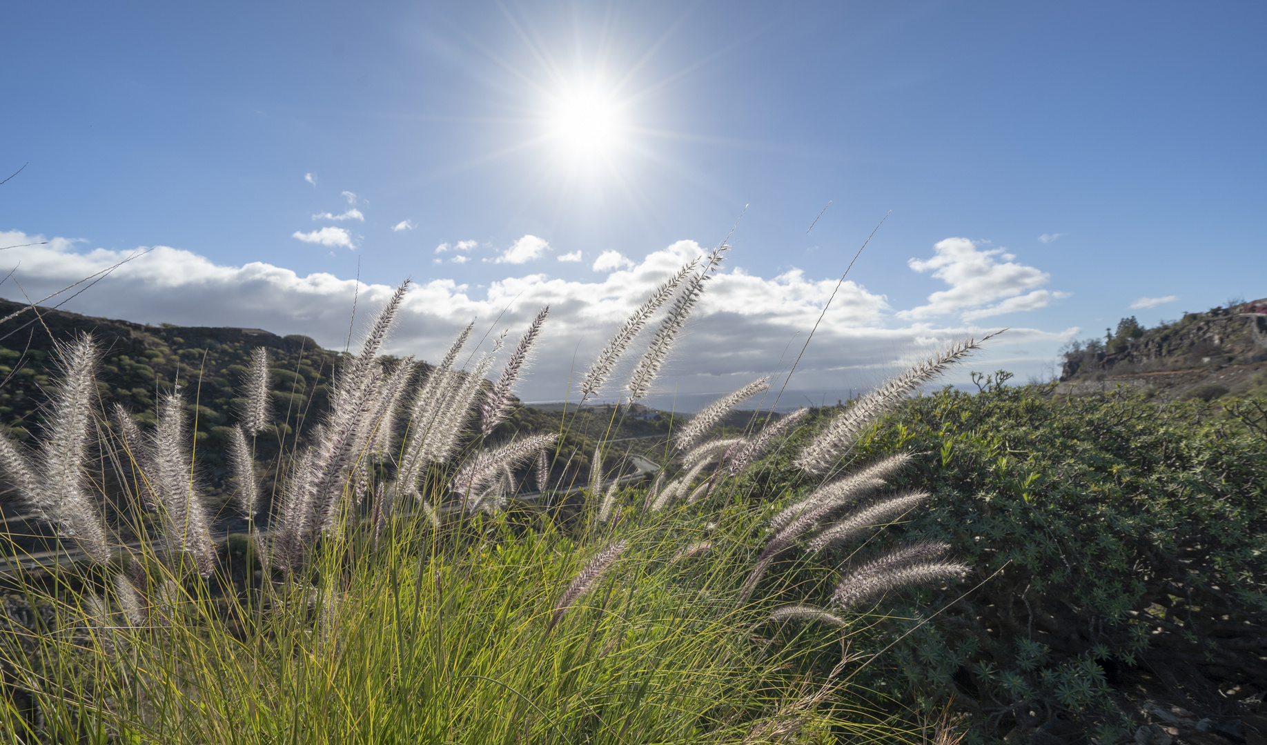 Sonntag mit Sonne