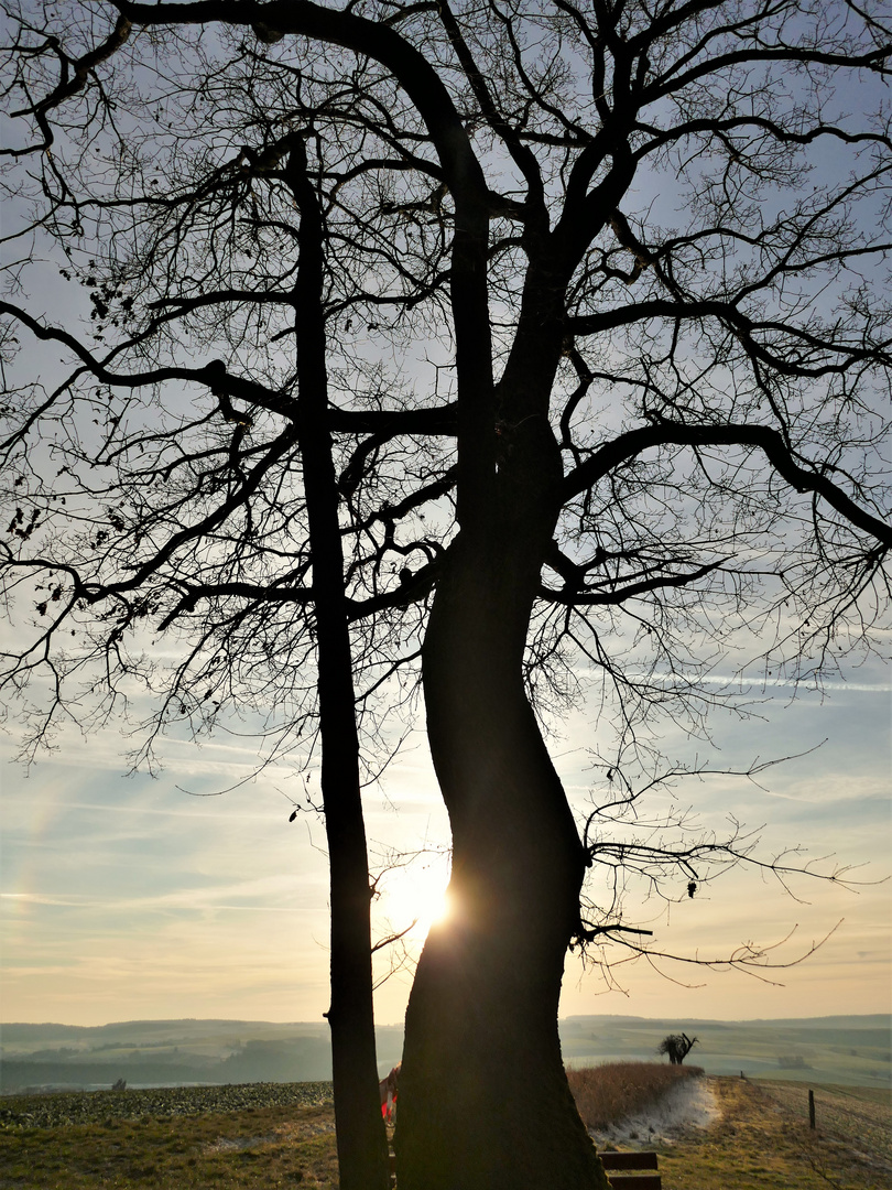 Sonntag mit Sonne