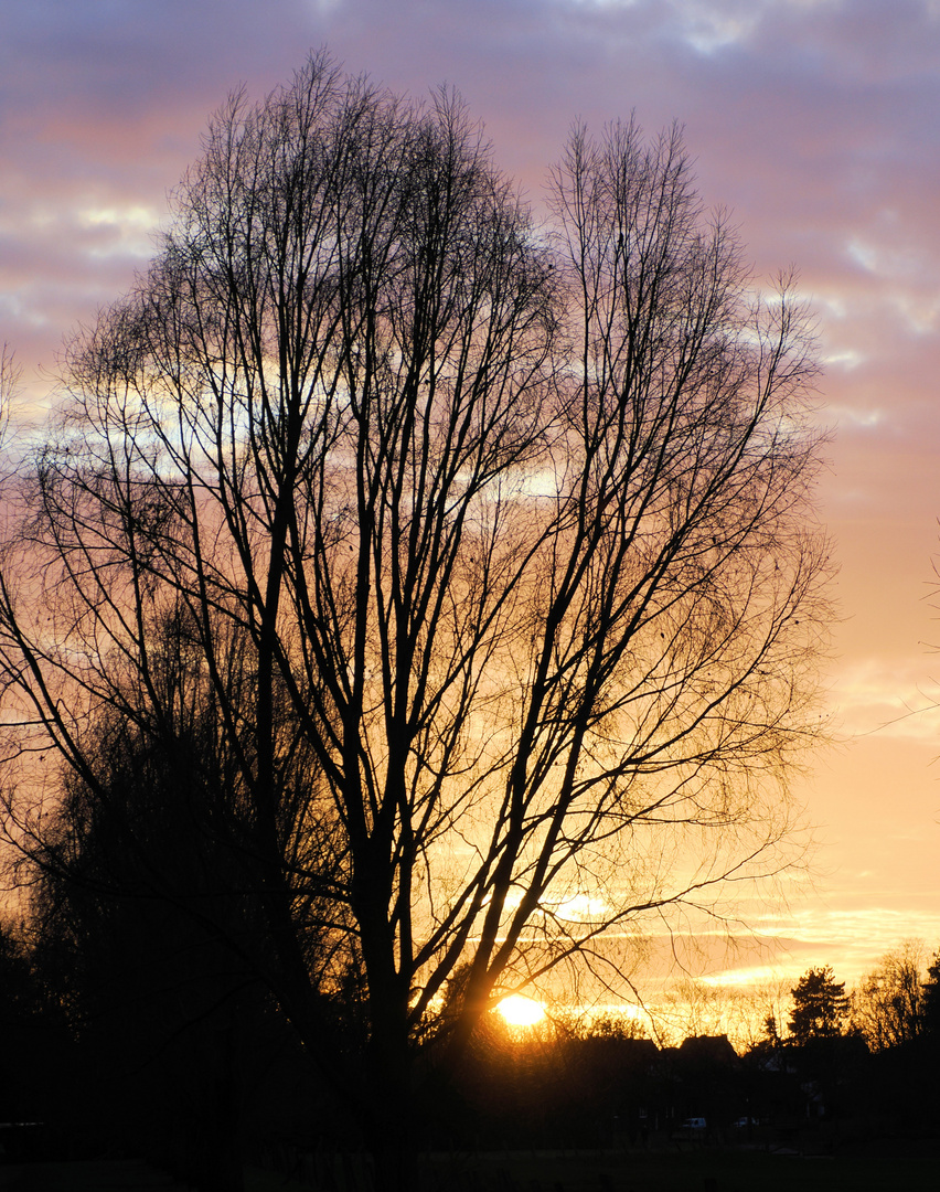 Sonntag mit Sonne…