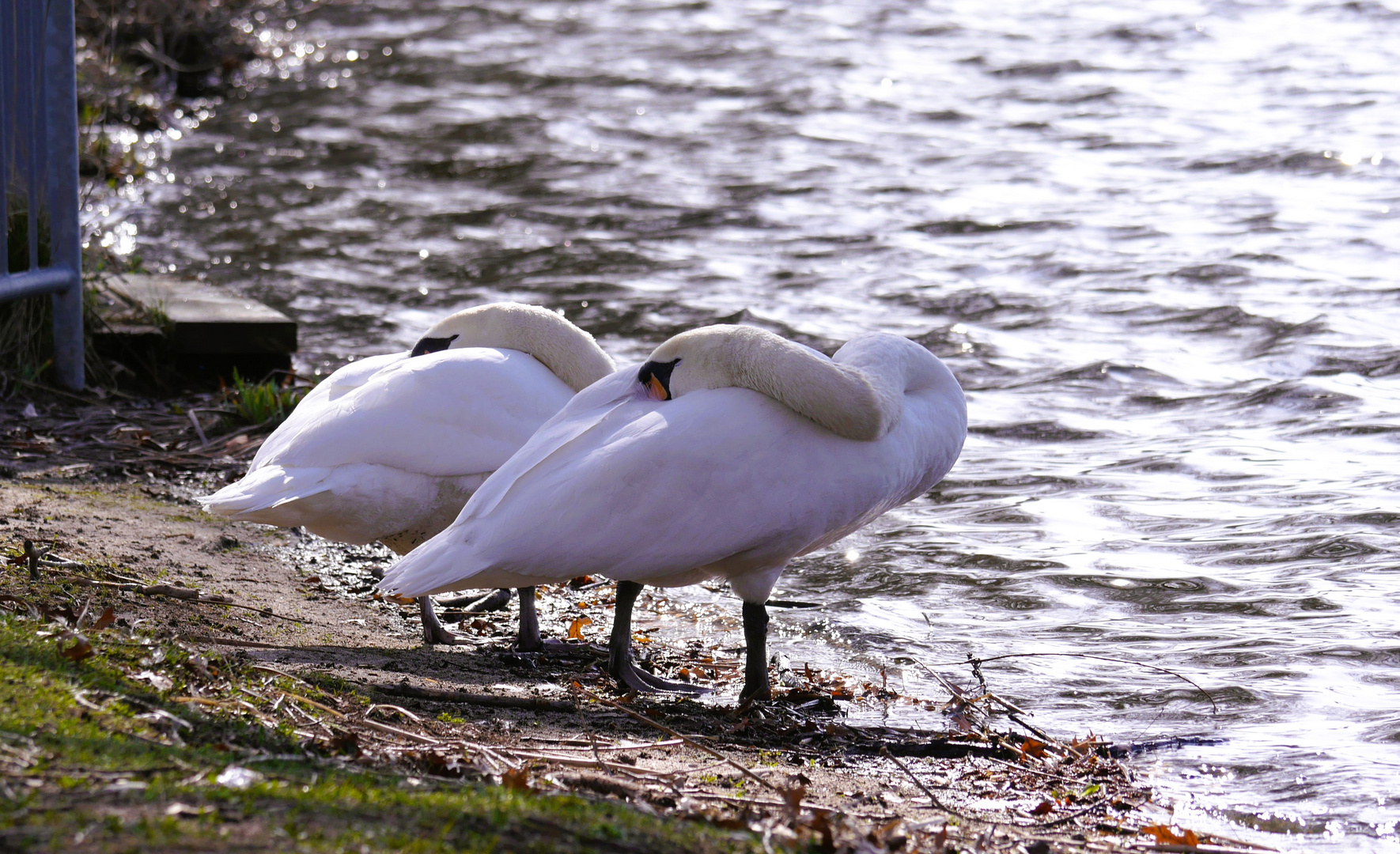 Sonntag mit Sonne 