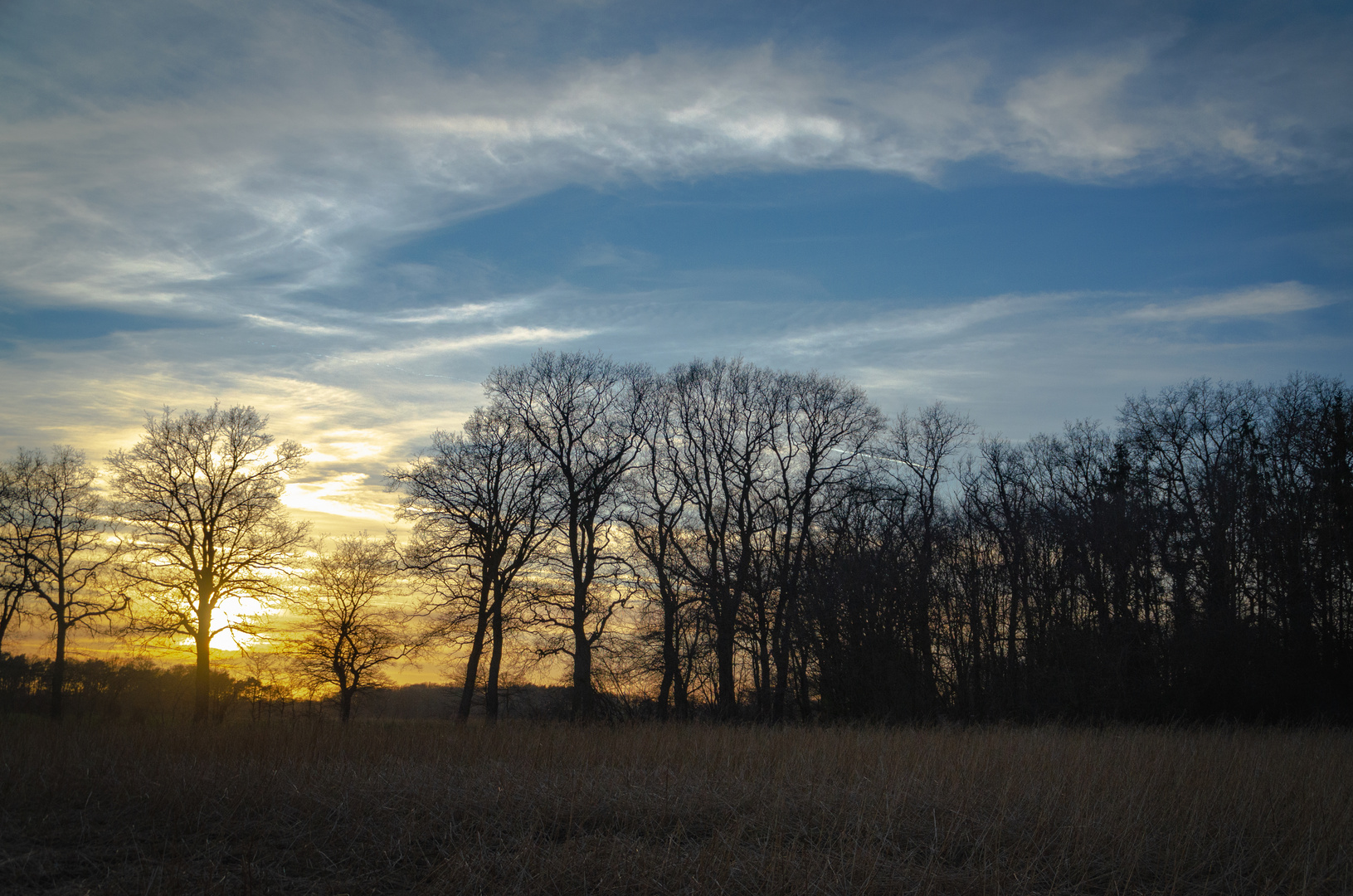 "Sonntag mit Sonne" 