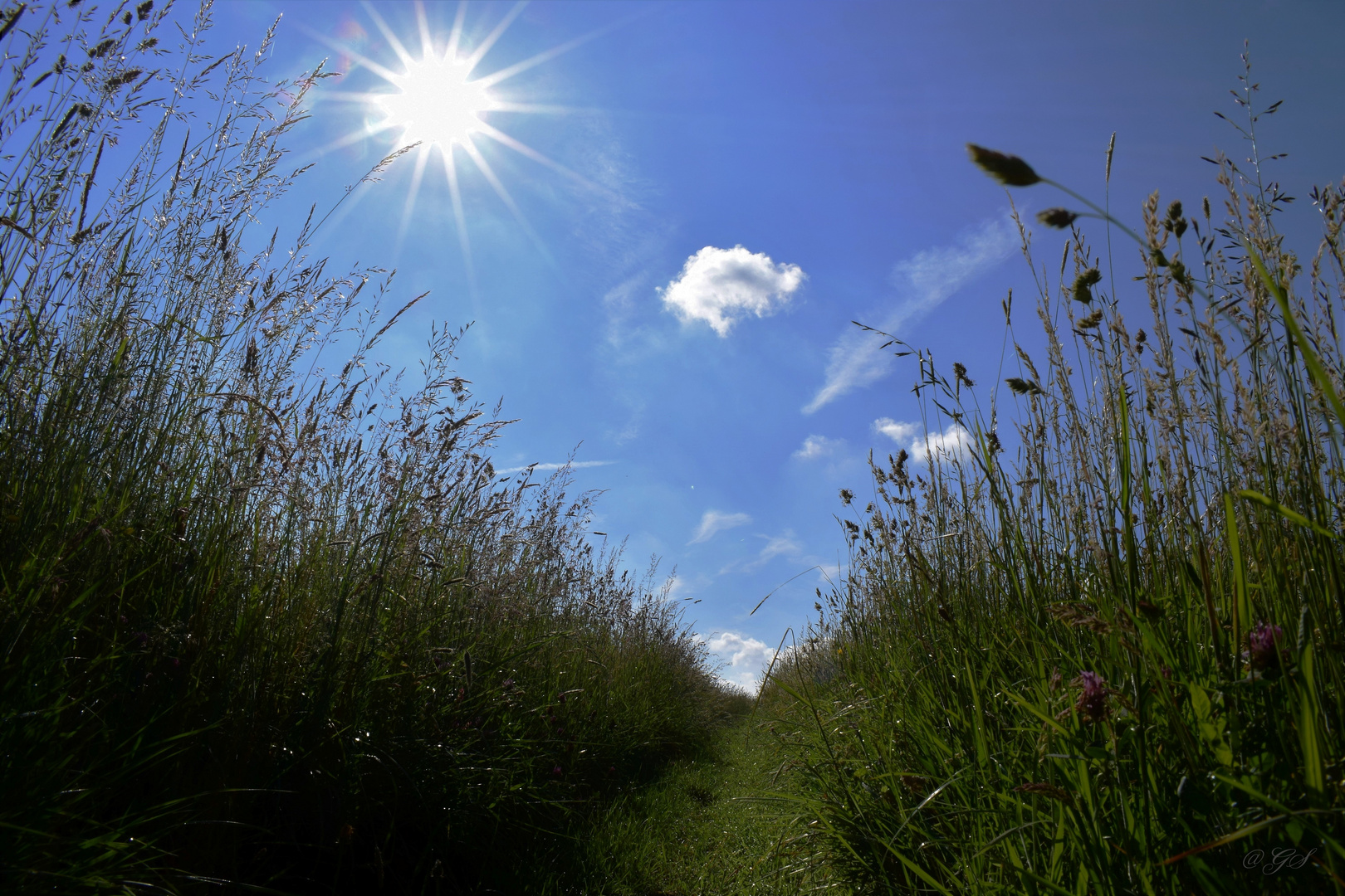 Sonntag mit Sonne