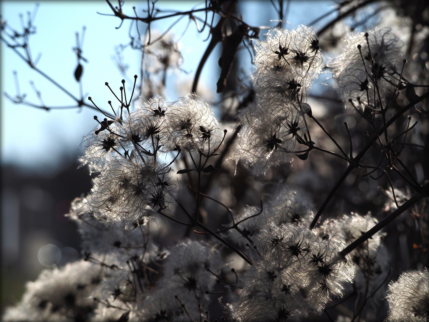 Sonntag mit Sonne