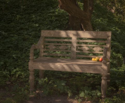 Sonntag mit Sonne ...