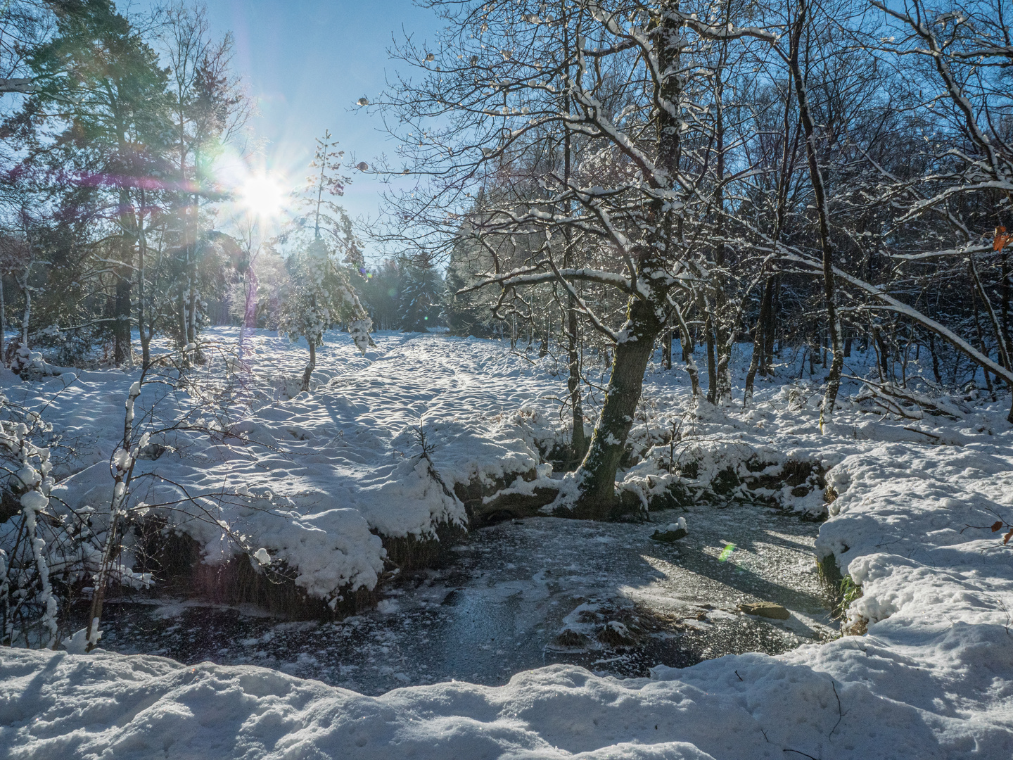 Sonntag mit Sonne