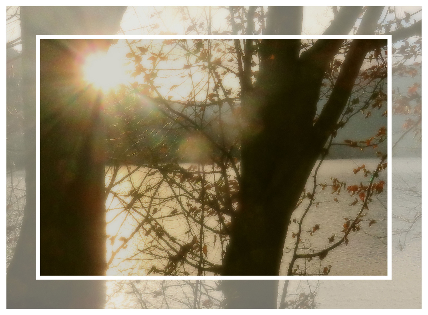 Sonntag mit Sonne am 23.01.22