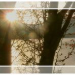 Sonntag mit Sonne am 23.01.22