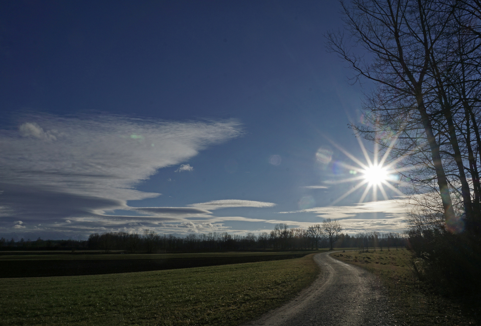 Sonntag mit Sonne - Am Ammerdamm