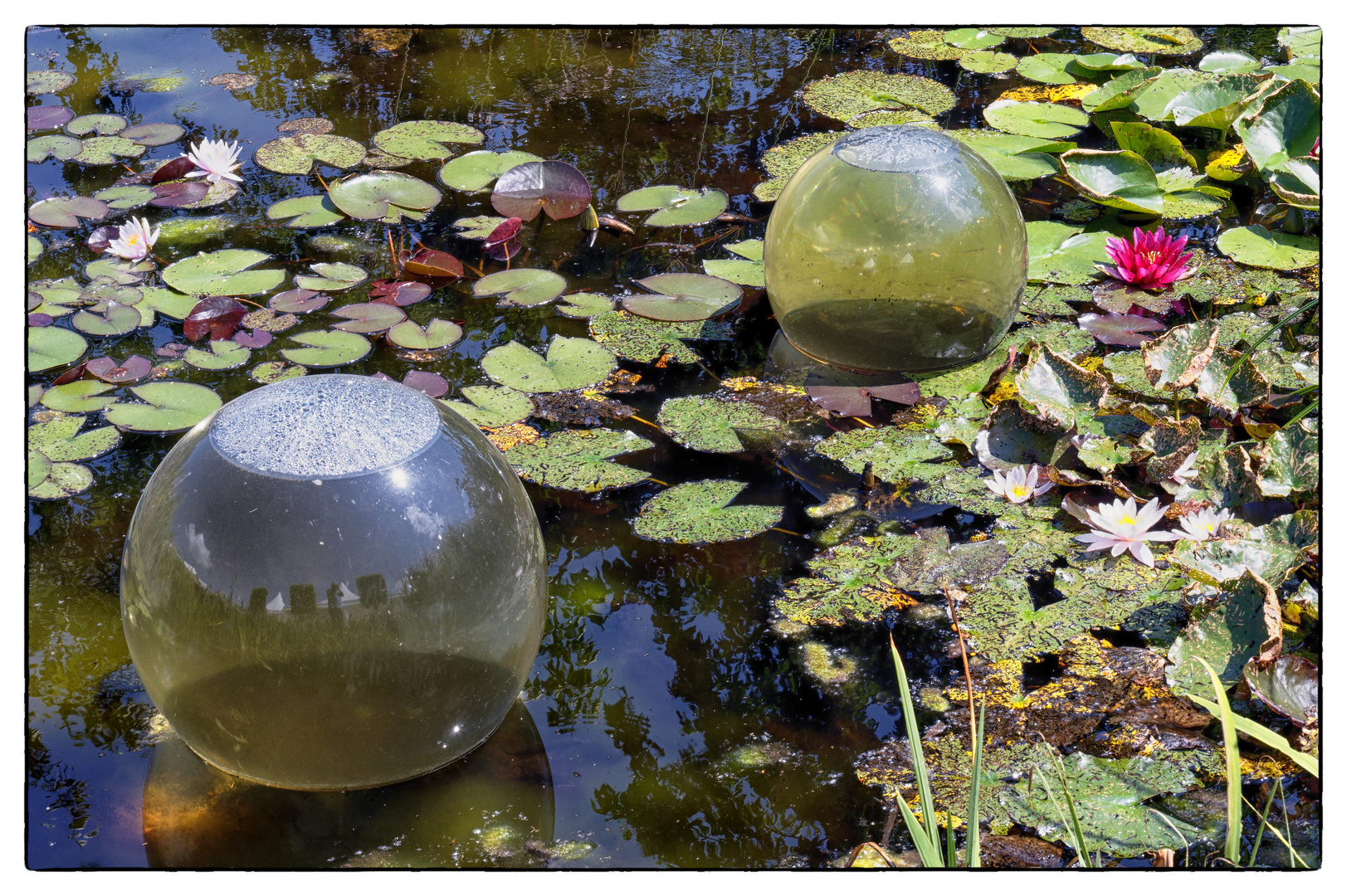 Sonntag mit Sonne - am Teich