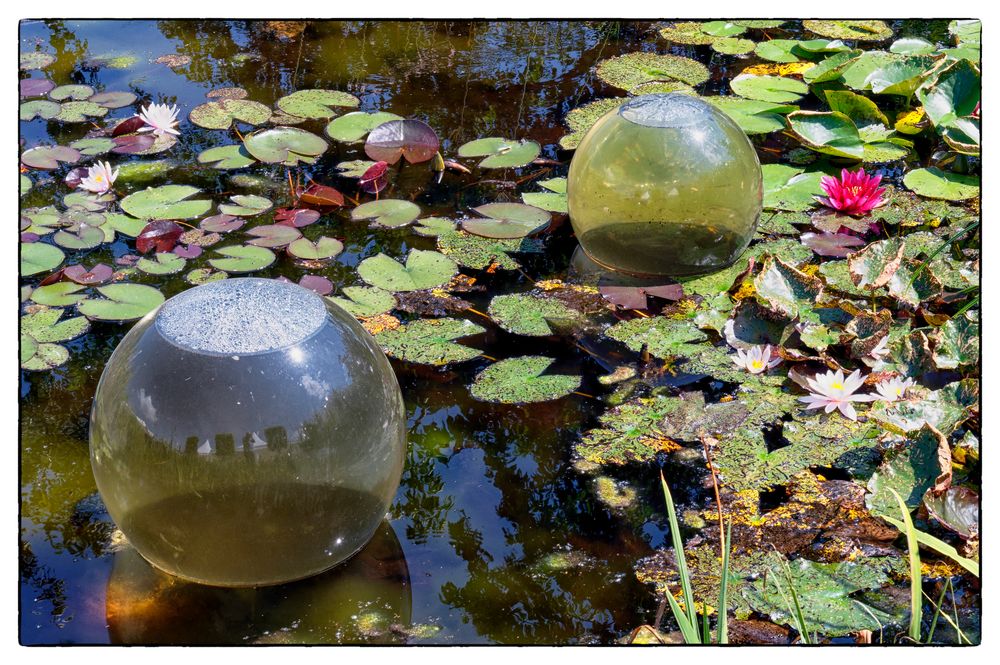 Sonntag mit Sonne am Teich Foto & Bild Bilder auf