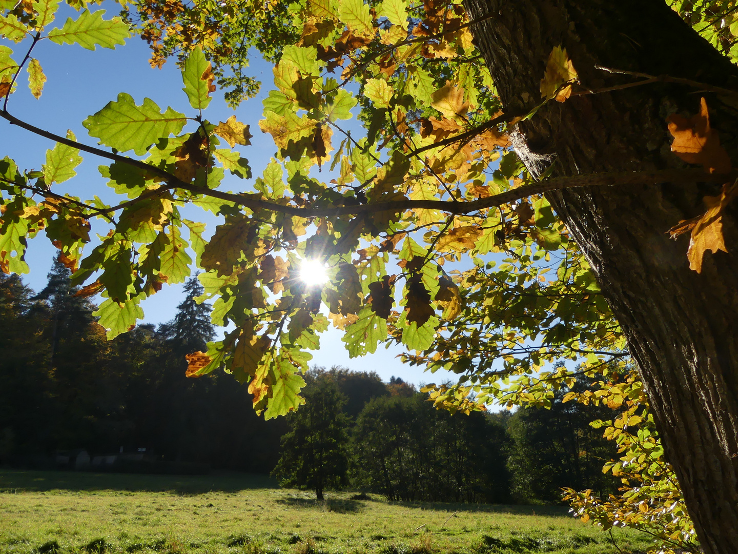 Sonntag mit Sonne