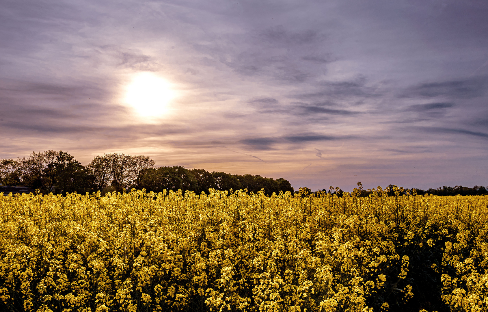 Sonntag mit Sonne