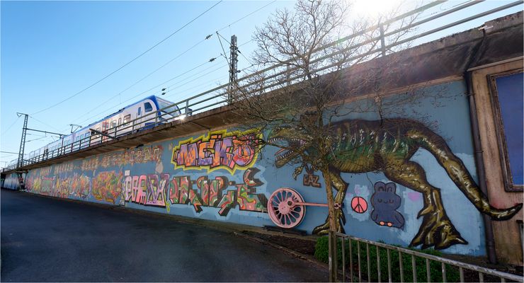 Sonntag mit Sonne - Bahndamm im Gegenlicht
