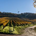 Sonntag mit Sonne, bitteschön!