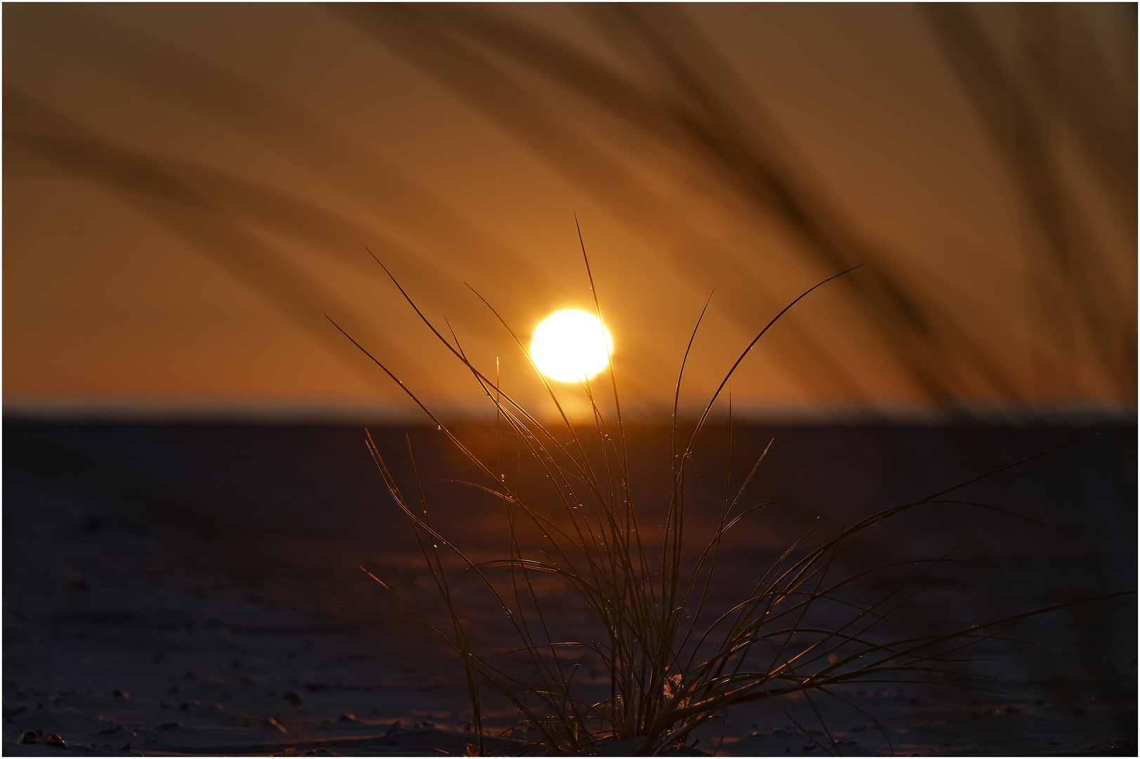 Sonntag mit Sonne - Blick durch den Strandhafer