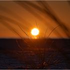 Sonntag mit Sonne - Blick durch den Strandhafer