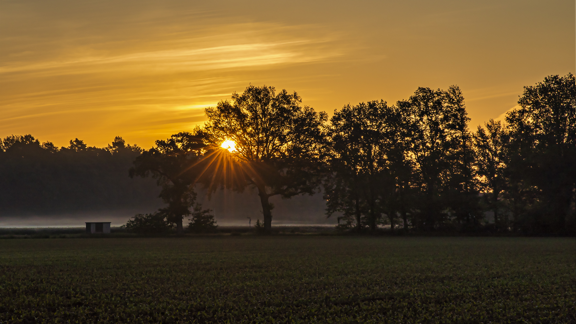 Sonntag mit Sonne