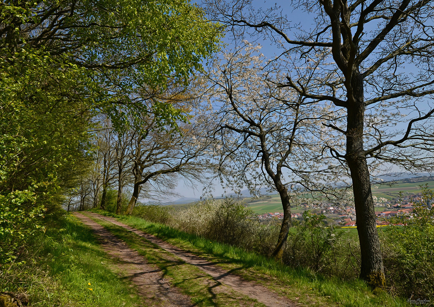 Sonntag mit Sonne