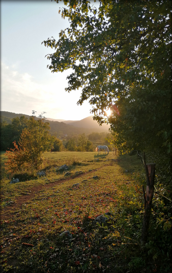 Sonntag mit Sonne